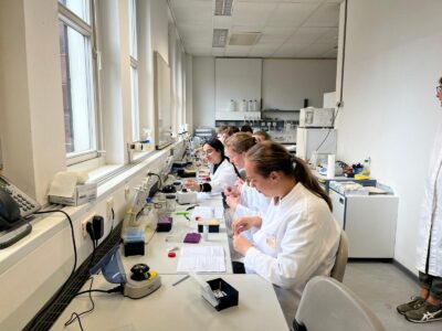 Schüler:innen bei der Arbeit im Uni-Labor