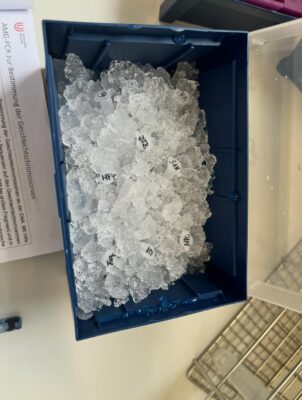 Eis in einem Behälter