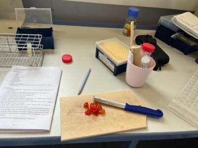 Arbeitstisch mit Labormaterial