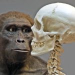 Biologie