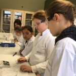 Zum wissenschaftlichen Arbeiten gehört auch das selbstständige Protokollieren der Versuchsergebnisse.